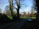 Ivy hedge and tall trees, view across village green to church and houses,
parked car and high wall on the right.