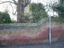 High wall, with horse chestnut tree and street light pole.