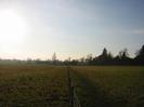 Open field with new wire fences.
Looking into the sun, with trees on the right.