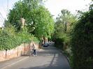 Looking South on High Street.
High brick wall with ivy on the left.
Man pushing bicycle up hill.
Large pollarded tree behind wall.
Houses and parked cars in the distance.
Part of the Village Hall roof visible through trees on the right.