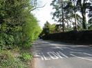 Looking South down Hill Farm Road.
Hedge and trees on the left.
Dark hedge and tall Scots Pine trees on the right.
SLOW marking on road.
