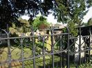 Churchyard, seen through wrought-iron railings.
Overhanging Ivy tree.
Tombstones in churchyard.
Roofs of Wellbank houses visible over high holly hedge on the right.