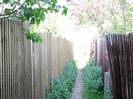 Footpath with high wooden fences on each side