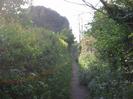 Footpath with hedges on both sides.