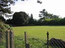 Playing field with chainlink fence.
Large trees seen across field.