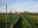 Footpath with high chainlink fences on each side.
Young trees in fields.
Houses in the distance are in Buffins.