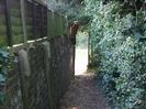 Footpath with wall on left topped with a wooden fence.
Bushes on the right.
Cliveden Road visible at the end of the path.