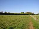 Footpath through grassy field.
Church spire visible over distant hedge on the left.
New wire fence and planted trees on the right.