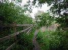 Footpath with wooden railings on left.
Small tress behind railings.
Bushes on right include Hawthorn in flower.