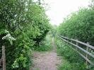 Footpath with small trees on both sides.
Post-and-rail fence on the right.