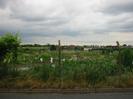 Allotment garden seen across road, through chainlink fence.
Houses in the distance.