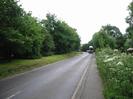 Looking east on Institute Road.
Grass verge and trees on left.
Car-transporter and cars turning into the road from Hitcham Road.
Tarmac pavement on right, with wild flowers and trees. 