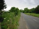 Looking west on Institute Road.
Tarmac pavement on left with wire fence and wild flowers.
Cars in the distance.
Grass verge and trees on the right.