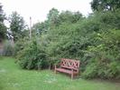Grassy area with wooden seat.
Bushes and trees.
Telephone pole.
