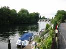 River Thames with Maidenhead Bridge in the distance.
Guards Club Island on the left, with large trees.
Boats moored at landing-stages.
Steep gardens between river and road.
River Road on the right.
