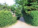 Driveway to Lamont House.
Hedges and trees on both sides.