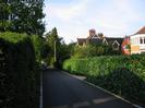 Looking north on River Road.
Dark hedge on left.
Laurel hedges on right with houses behind them.
Flagpole.