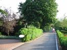 Looking south on River Road.
Entrance to Olympia House on left.
Hedges and trees.
Woman with dog.
Low hedge on right.