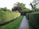 Looking south on the Thames Path.
High clipped hedges on each side.
Gravel path with grassy area on the left.
