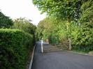 Looking north on River Road.
High hedge on left.
Five-bar wooden gate.
Hedges and trees on right.