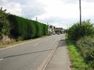 Looking south on Marsh Lane.
High conifer hedge on the left.
Footway and hedge on the right.