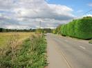 Looking north on Marsh Lane.
Field on left.
Road with high conifer hedge on right.