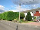 Road with high conifer hedge.
Terrace of houses: Lamda, Maloor, Copthorne.