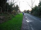 Looking south on Hitcham Road.
Embankment with trees on left.
Grass verge and pavement.
Trees on right.