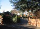 Entrance of the Old Malt House, with Cedar tree overhanging