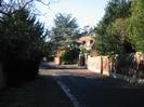Looking West on Rectory Road. Bushes on the left and high wall on the right.
The Old Coach House visible through the trees.