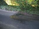 Hole in the road where water rises from a natural spring.