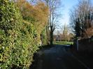 Looking East on Rectory Road from opposite the Old Rectory gates.
Thick hedge on the left and high wall on the right.
The church is visible across the village green.