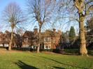 Trees on Village Green, with houses on High Street behind.