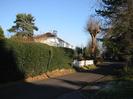 Looking East on Rectory Road. Churchyard hedge on left.
Wellbank Cottage with white fence.
Pollarded Horse Chestnut tree.