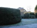 Hedge around Wellbank sub-station.
Part of Priory Cottage.
Frost on grass.