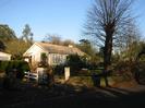 Lindens.
White painted bungalow, with pollarded Horse Chestnut on the right.