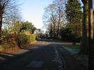 Eastern end of Rectory Road.
Hedge on the left, trees on the right.
Eastern entrance to Wellbank with street light.