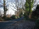 Looking South on Boundary Road.
Fallen leaves across footpath.