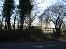 Looking across Boundary Road.
Trees along edge of road.
Gate into paddock.