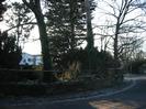 Clump of trees at the corner of Rectory Road.
Houses in Wellbank visible through the trees.
Low wall with wooden fence.
Frost on fallen leaves.