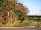 Looking East across Boundary Road and along the footpath.
Row of trees along the footpath.
30 sign. Public Footpath sign.