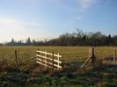 Field, with wire and wooden fences. Trees in the background.