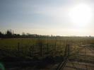 Gate into field.
Wire fences.
Strong sunlight.