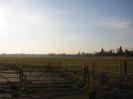 Gate into field beside Boundary Road.
Wire fences.
Trees in the distance.