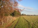 Footpath, with fence and trees on the left.
Open field on the right.