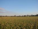 Open field, with group of houses on Boundary Road in the distance.