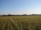 Open field, with new wire fence.
Trees in the background.