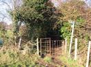 Iron kissing-gate where footpath enters field.
Three-way footpath sign.
Ivy-covered trees.
Wire fences.