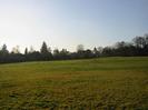 Field, with line of trees in the distance.