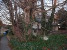 Derelict buildings seen through trees, with part of Maidenhead Bridge on the left.